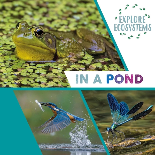 Бумажная книга «Explore Ecosystems: In a Pond», автор Сара Ридли - фото №1