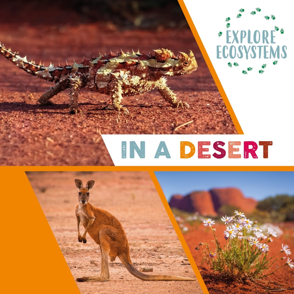 Паперова книга «Explore Ecosystems. In a Desert», автор Сара Рідлі - фото №1