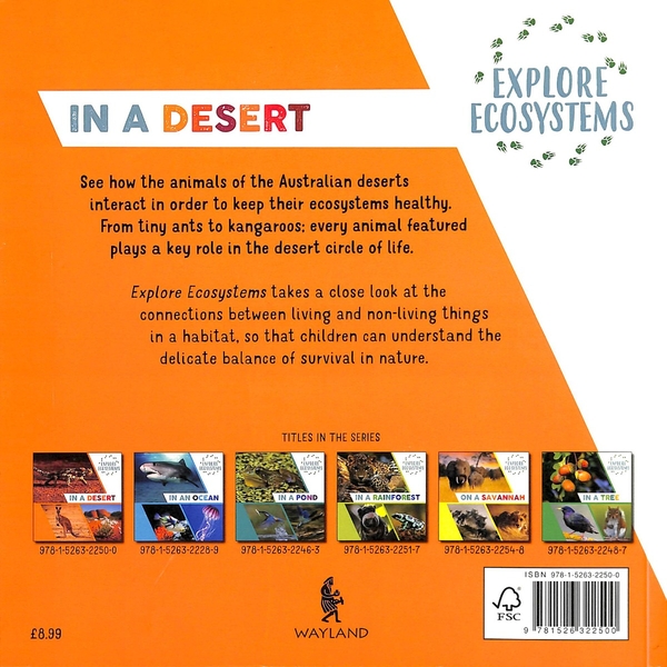 Бумажная книга «Explore Ecosystems: In a Desert», автор Сара Ридли - фото №1