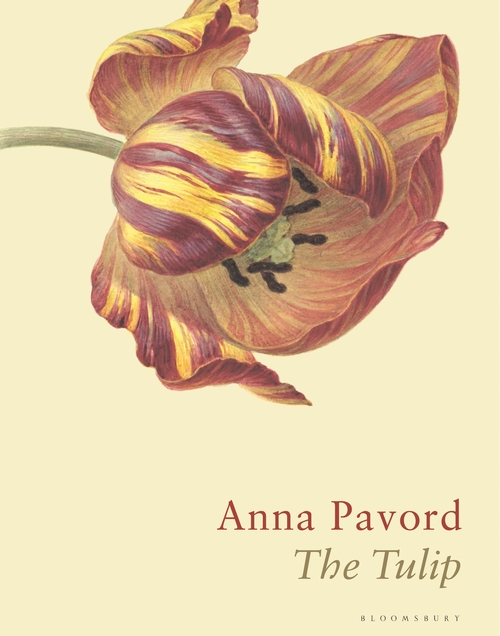 Бумажная книга «The Tulip» - фото №1