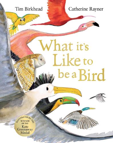 Бумажная книга «What it's Like to be a Bird», автор Тим Биркхед - фото №1