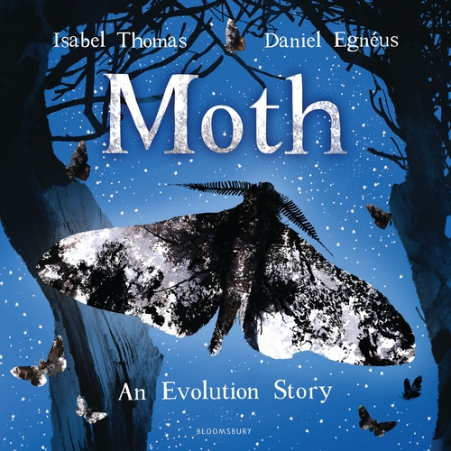 Бумажная книга «Moth» - фото №1
