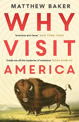 Бумажная книга «Why Visit America», автор Мэттью Бейкер - фото №1