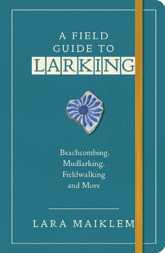 Паперова книга «A Field Guide to Larking», автор Лара Майклем - фото №1