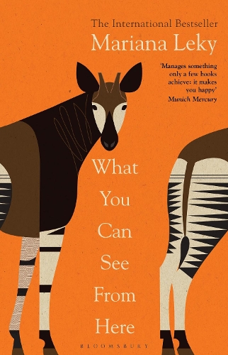 Бумажная книга «What You Can See From Here: 'A clear-eyed tonic in troubled times' (Guardian)», автор Мариана Лэки - фото №1