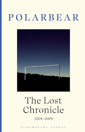 Бумажная книга «The Lost Chronicle: 2004-2009», автор Polarbear - фото №1