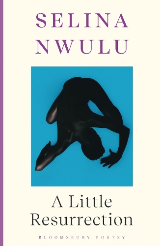 Бумажная книга «A Little Resurrection», автор Селина Нвулу - фото №1