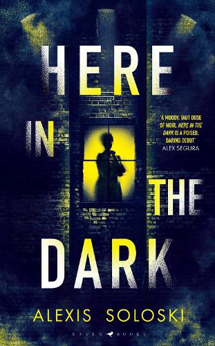 Бумажная книга «Here in the Dark» - фото №1