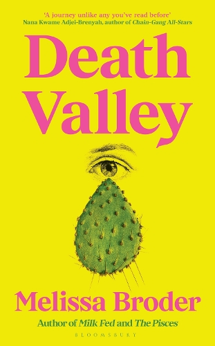 Бумажная книга «Death Valley», автор Мелисса Бродер - фото №1