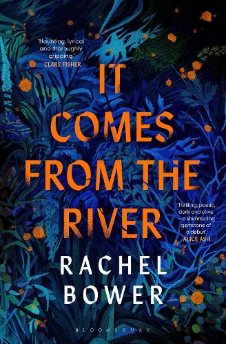 Бумажная книга «It Comes from the River», автор Рэйчел Боуэр - фото №1