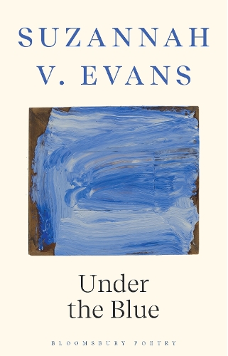 Паперова книга «Under the Blue», автор Сюзанна В. Еванс - фото №1