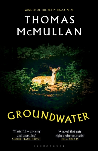 Бумажная книга «Groundwater: ‘Complex, chilling, masterful' Financial Times», автор Томас Макмаллан - фото №1