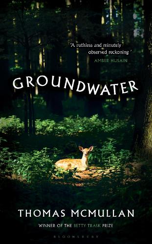 Паперова книга «Groundwater», автор Томас МакМаллан - фото №1