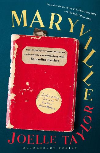 Бумажная книга «Maryville», автор Джоэль Тейлор - фото №1