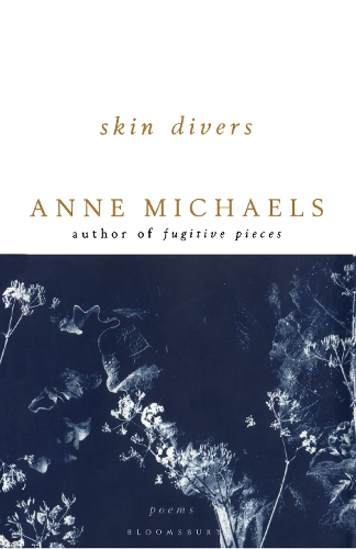 Бумажная книга «Skin Divers», автор Энн Майклз - фото №1