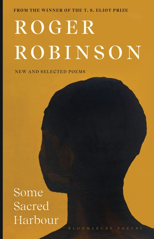 Paper book «Some Sacred Harbour: New and Selected Poems», author Roger Robinson - фото №1