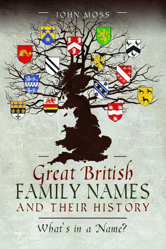 Бумажная книга «Great British Family Names and Their History: What's in a Name?», автор Джон Мосс - фото №1