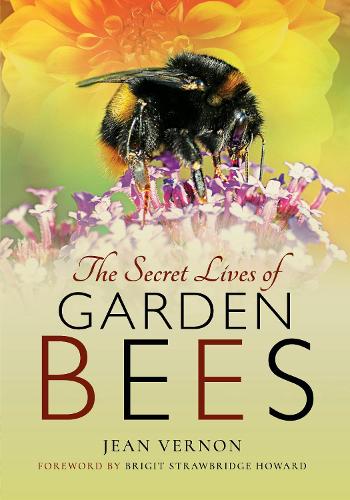 Бумажная книга «The Secret Lives of Garden Bees», автор Жан Вернон - фото №1