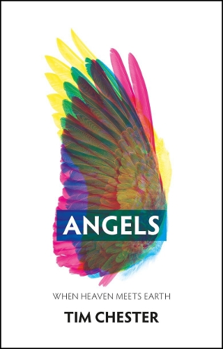 Паперова книга «Angels: When Heaven Meets Earth», автор Тім Честер - фото №1