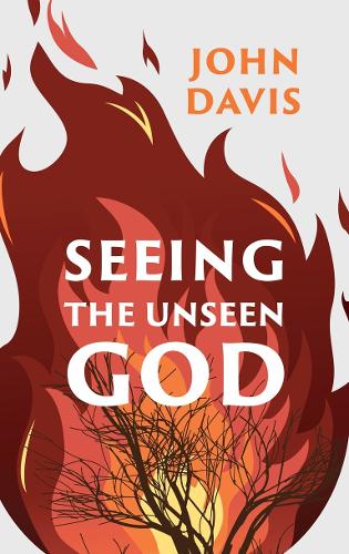 Паперова книга «Seeing the Unseen God», автор Джон Девіс - фото №1