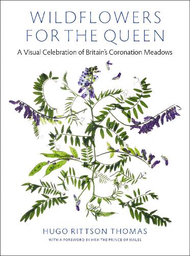 Паперова книга «Wildflowers for the Queen: A Visual Celebration of Britain's Coronation Meadows», автор Х'юго Рітсон Томас - фото №1