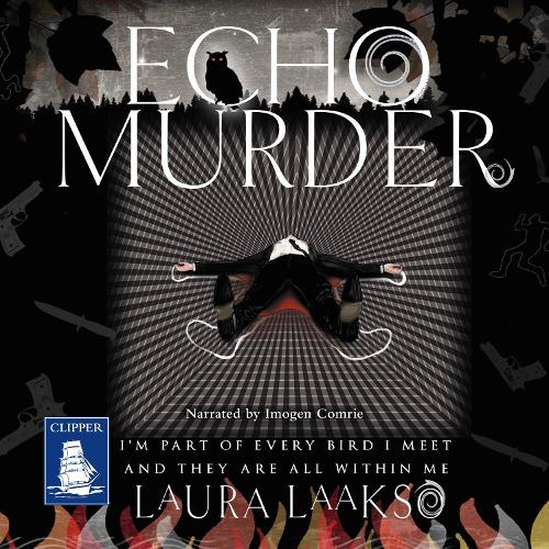 Аудіокнига «Echo Murder», автор Лора Лааксо - фото №1