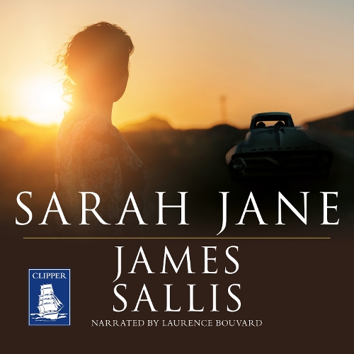 Аудиокнига «Sarah Jane», автор Джеймс Саллис - фото №1