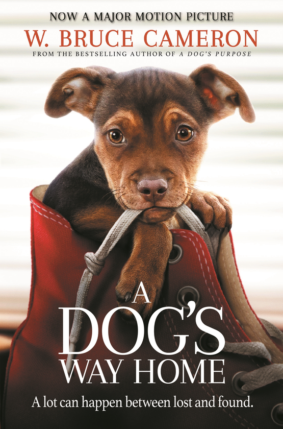 Бумажная книга «A Dog’s Way Home », автор Брюс Кэмерон - фото №1