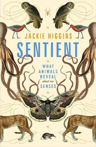 Бумажная книга «Sentient: What Animals Reveal About Our Senses», автор Джеки Хиггинс - фото №1