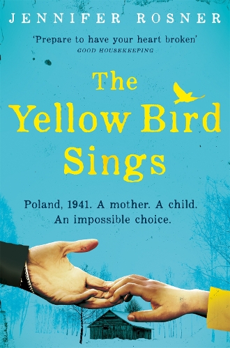 Паперова книга «The Yellow Bird Sings», автор Дженніфер Рознер - фото №1