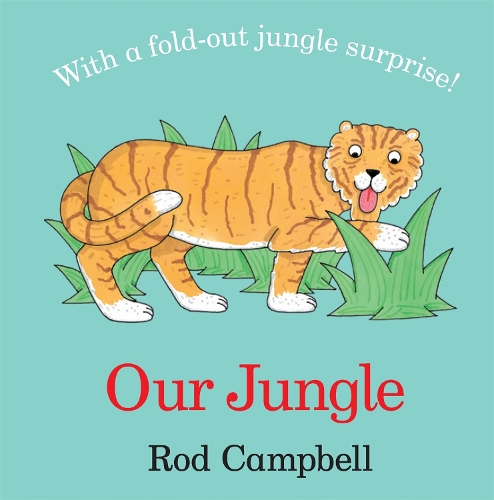 Бумажная книга «Our Jungle», автор Род Кэмпбелл - фото №1