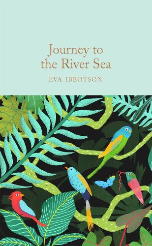 Паперова книга «Journey to the River Sea», автор Ева Ібботсон - фото №1