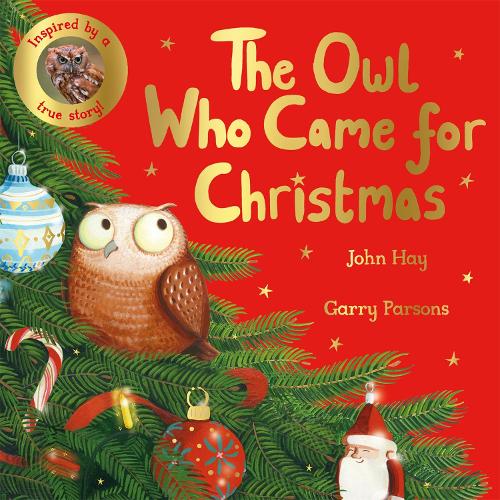 Паперова книга «The Owl Who Came for Christmas», автор Джон Хей - фото №1