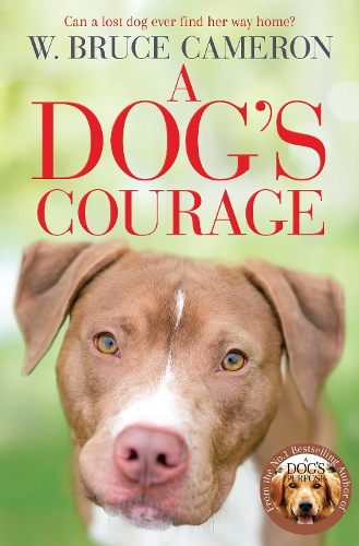 Паперова книга «A Dog's Courage», автор В. Брюс Кемерон - фото №1
