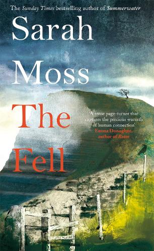 Паперова книга «The Fell», автор Сара Мосс - фото №1