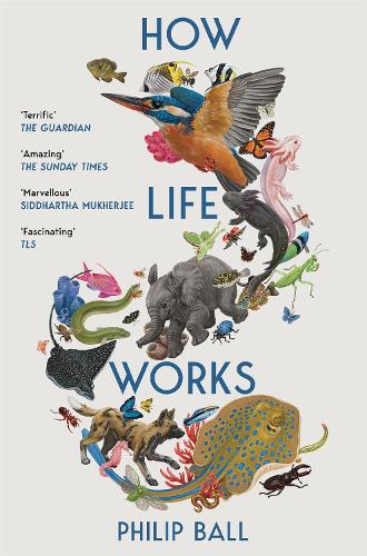 Бумажная книга «How Life Works: A User’s Guide to the New Biology», автор Филип Болл - фото №1