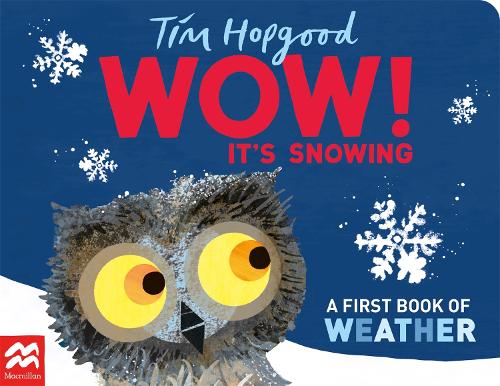 Бумажная книга «WOW! It's Snowing: A First Book of Weather», автор Тим Хопгуд - фото №1