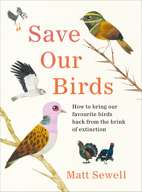 Бумажная книга «Save Our Birds», автор Мэтт Сьюэлл - фото №1