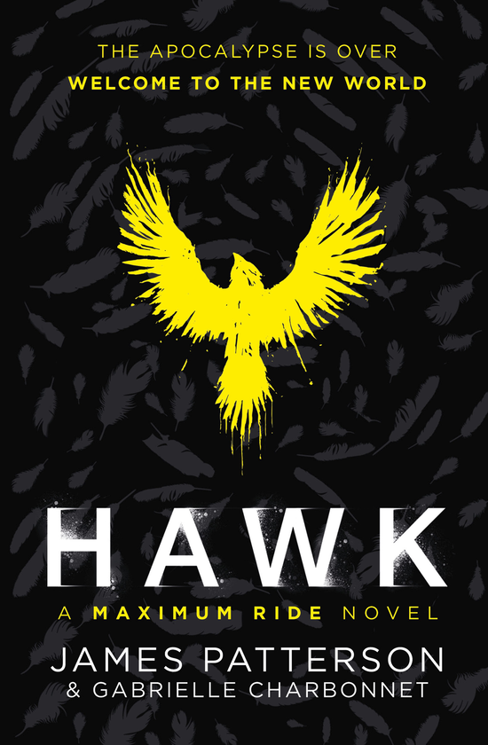 Бумажная книга «Hawk. A Maximum Ride Novel. Book 1», автор Джеймс Паттерсон - фото №1
