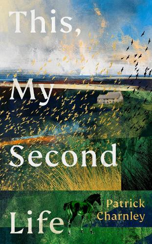 Бумажная книга «This, My Second Life», автор Патрик Чарнли - фото №1