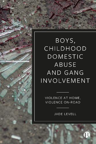 Паперова книга «Boys, Childhood Domestic Abuse and Gang Involvement: Violence at Home, Violence On-Road», автор Джейд Левелл - фото №1