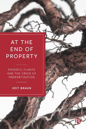 Бумажная книга «At the End of Property: Patents, Plants and the Crisis of Propertization», автор Вейт Браун - фото №1