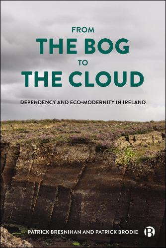 Бумажная книга «From the Bog to the Cloud: Dependency and Eco-Modernity in Ireland», автор Патрик Бреснихан - фото №1