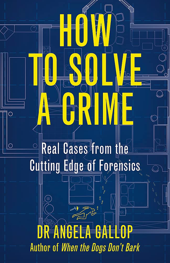 Паперова книга «How to Solve a Crime», автор Анджела Галлоп - фото №1