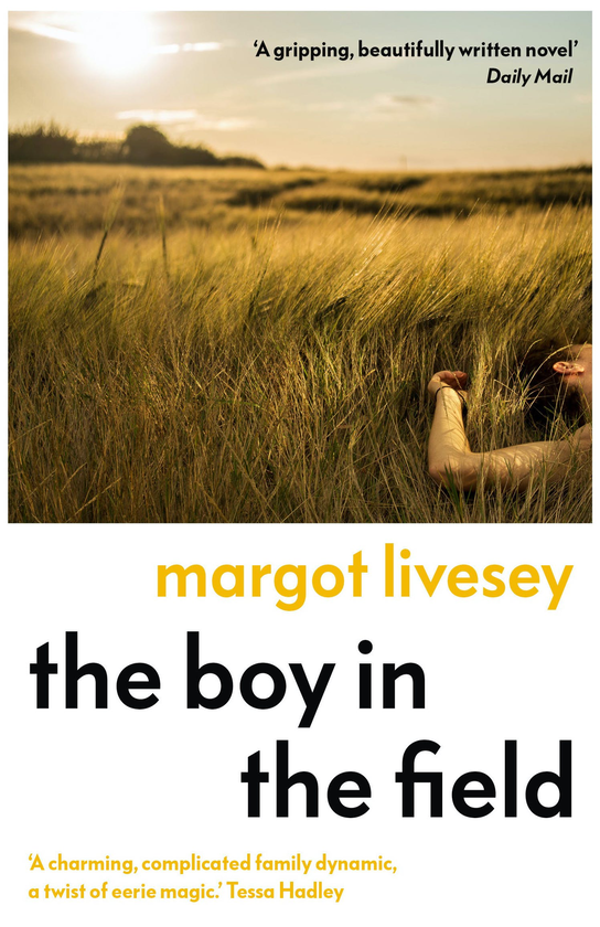Паперова книга «The Boy in the Field», автор Марго Лівсі - фото №1