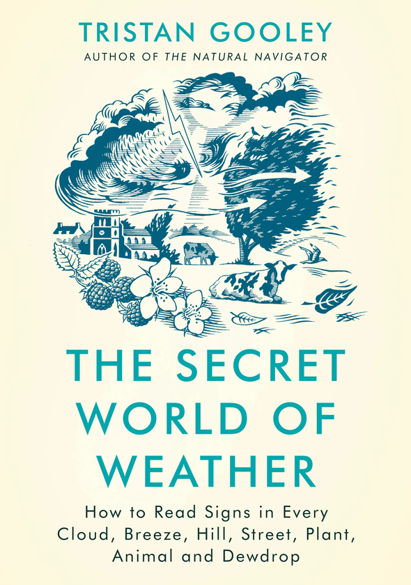 Бумажная книга «The Wayfinder's Guide to the Weather», автор Тристан Гули - фото №1