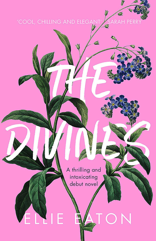 Паперова книга «The Divines», автор Еллі Ітон - фото №1