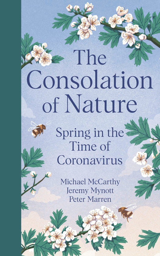 Паперова книга «The Consolation of Nature», авторів Майкл Маккарті, Джеремі Майнотт, Пітер Маррен - фото №1