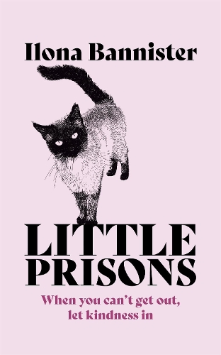 Паперова книга «Little Prisons», автор Ілона Банністер - фото №1