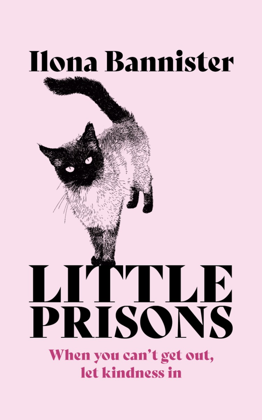Бумажная книга «Little Prisons», автор Илона Баннистер - фото №1